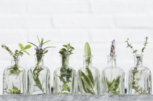 Tonic, floral water or emulsion? Check their benefits for the skin
