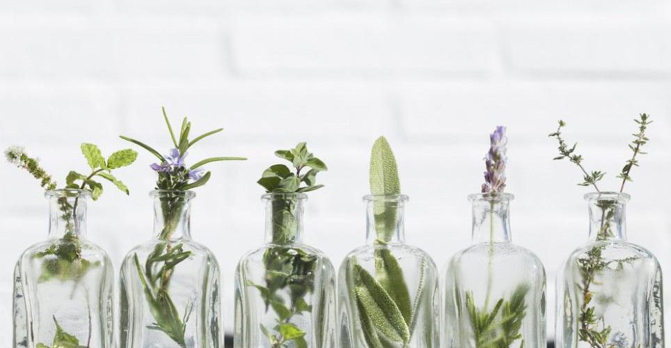 Tonic, floral water or emulsion? Check their benefits for the skin